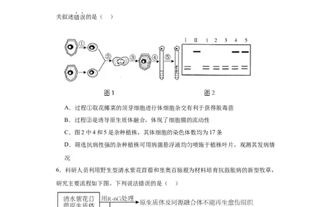 第十单元生物技术与工程（测试卷）（原卷版）_2024年新高考资料_3.2024专项复习_备战2024年高考生物一轮复习重难点专项突破