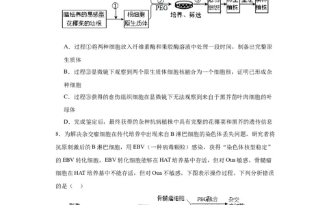 第十单元生物技术与工程（测试卷）（原卷版）_2024年新高考资料_3.2024专项复习_备战2024年高考生物一轮复习重难点专项突破