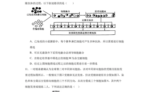 第十单元生物技术与工程（测试卷）（原卷版）_2024年新高考资料_3.2024专项复习_备战2024年高考生物一轮复习重难点专项突破