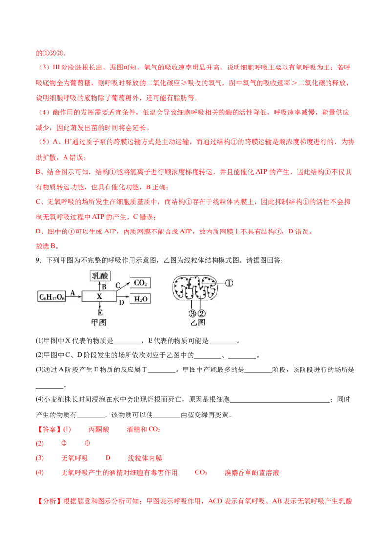 考点通关卷09细胞呼吸（解析版）_2024年新高考资料_1.2024一轮复习_2024年高考生物一轮复习考点通关卷（新高考通用）_考点通关卷09+细胞呼吸-2024年高考生物一轮复习考点通关卷