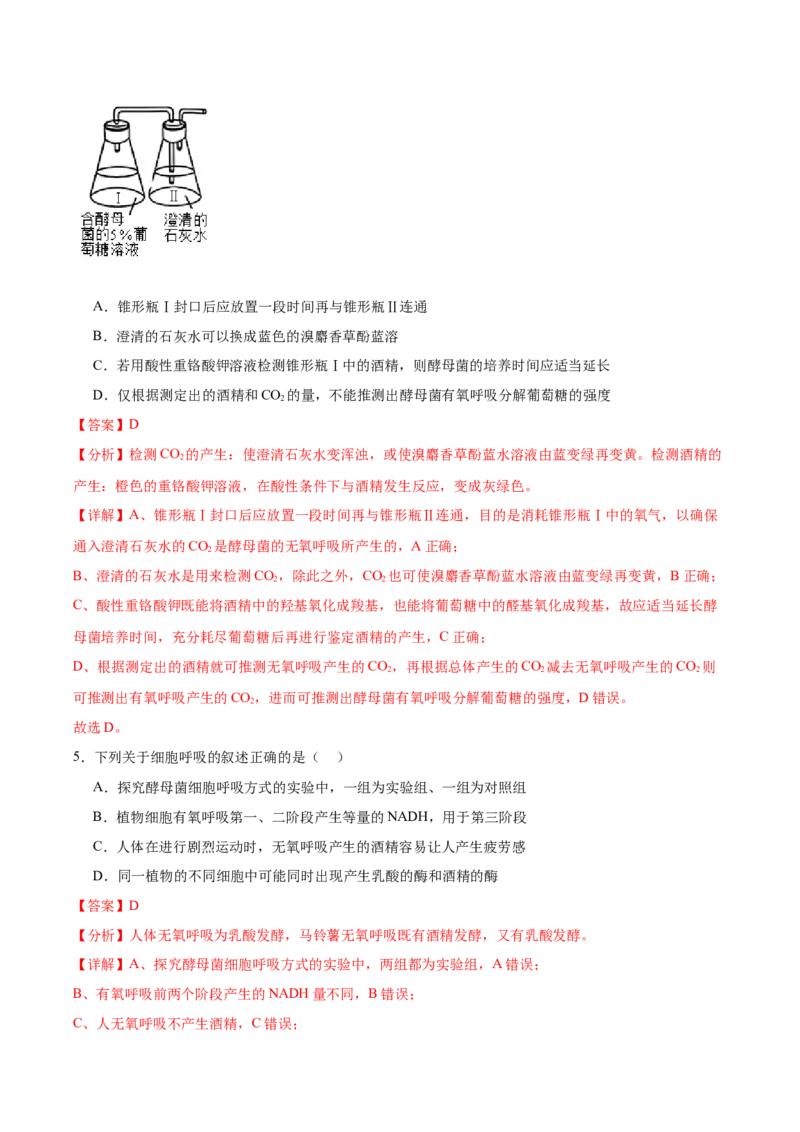 考点通关卷09细胞呼吸（解析版）_2024年新高考资料_1.2024一轮复习_2024年高考生物一轮复习考点通关卷（新高考通用）_考点通关卷09+细胞呼吸-2024年高考生物一轮复习考点通关卷