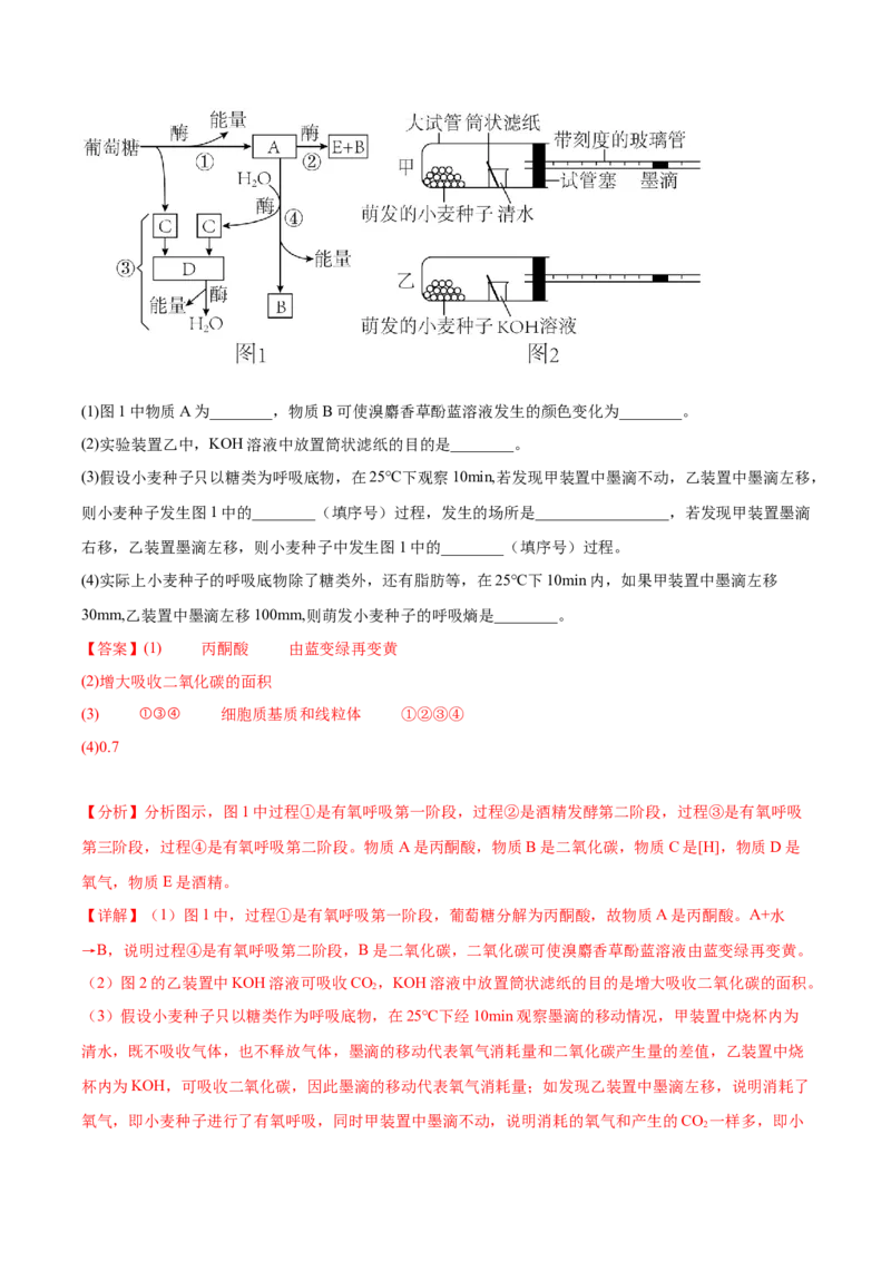考点通关卷09细胞呼吸（解析版）_2024年新高考资料_1.2024一轮复习_2024年高考生物一轮复习考点通关卷（新高考通用）_考点通关卷09+细胞呼吸-2024年高考生物一轮复习考点通关卷
