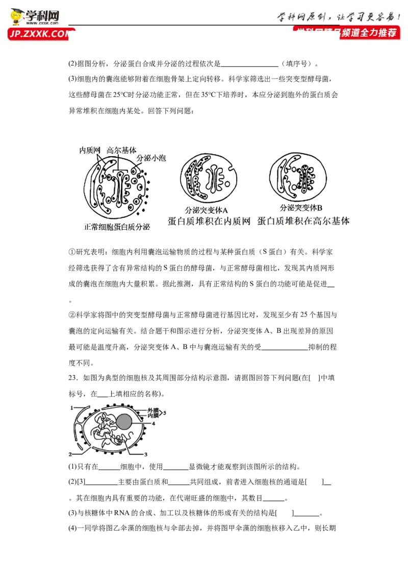 第二单元细胞的基本结构（测试卷）（原卷版)_2024年新高考资料_3.2024专项复习_备战2024年高考生物一轮复习重难点专项突破