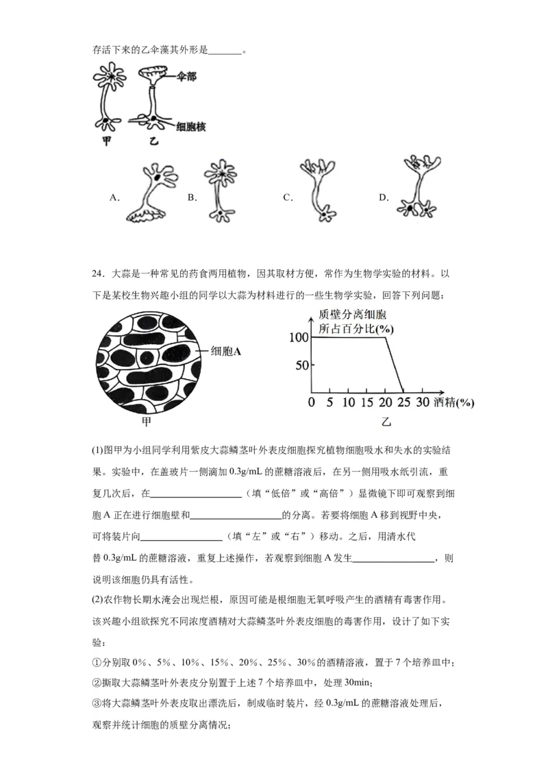 第二单元细胞的基本结构（测试卷）（原卷版)_2024年新高考资料_3.2024专项复习_备战2024年高考生物一轮复习重难点专项突破
