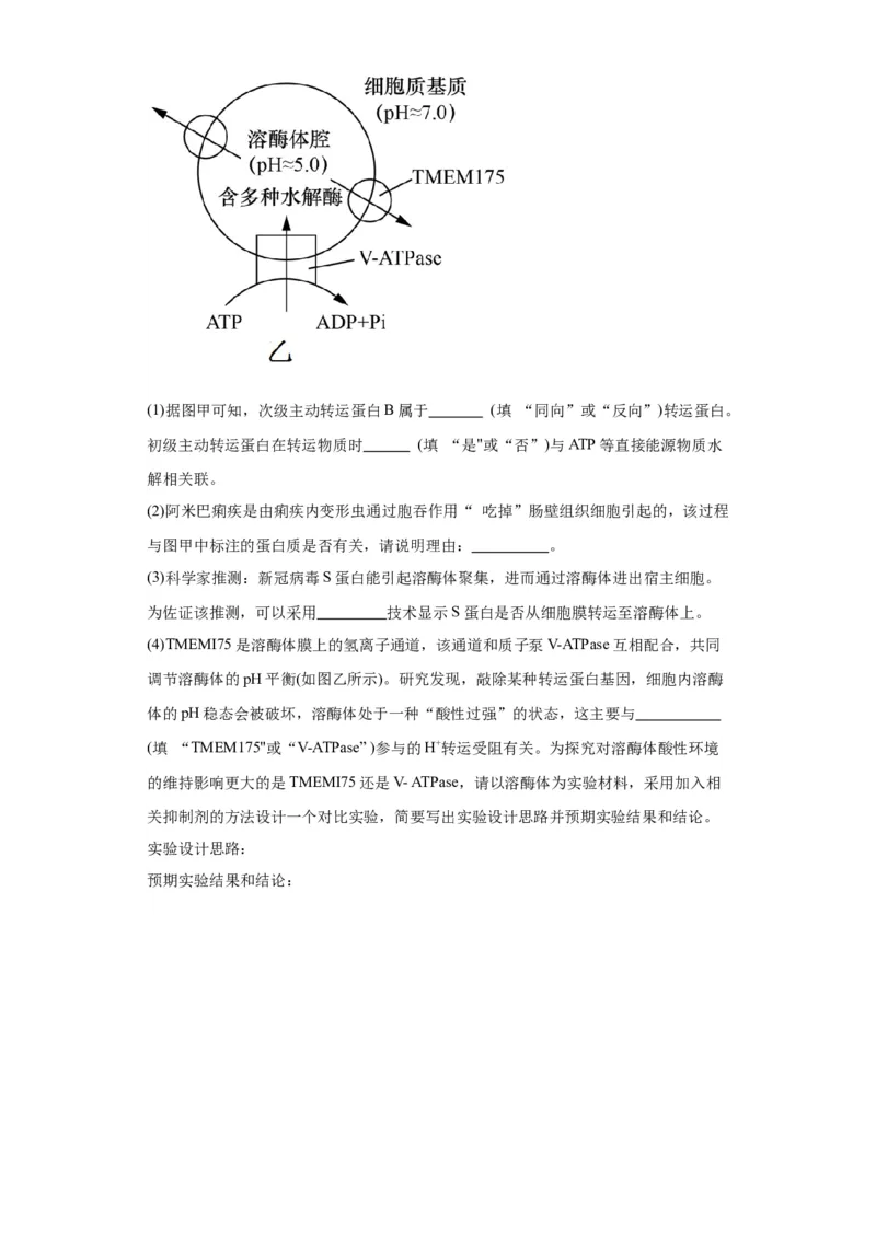 第二单元细胞的基本结构（测试卷）（原卷版)_2024年新高考资料_3.2024专项复习_备战2024年高考生物一轮复习重难点专项突破