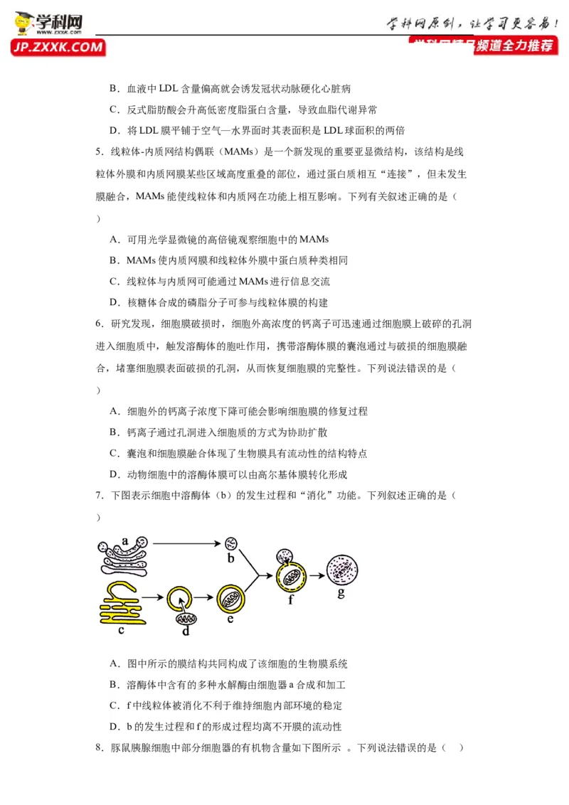 第二单元细胞的基本结构（测试卷）（原卷版)_2024年新高考资料_3.2024专项复习_备战2024年高考生物一轮复习重难点专项突破