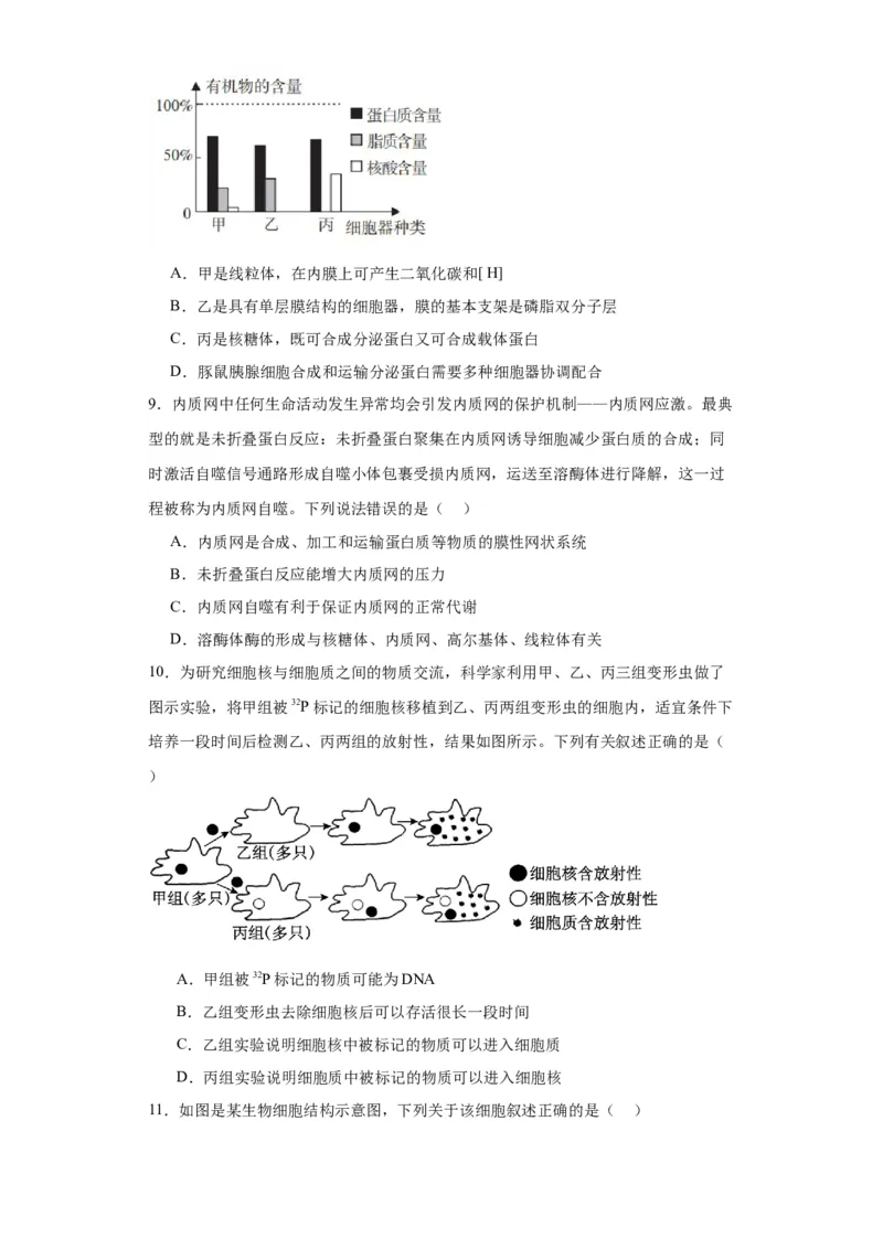 第二单元细胞的基本结构（测试卷）（原卷版)_2024年新高考资料_3.2024专项复习_备战2024年高考生物一轮复习重难点专项突破