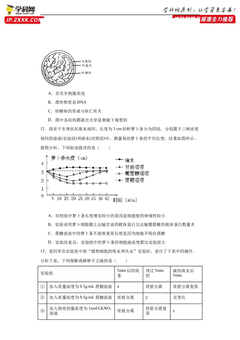 第二单元细胞的基本结构（测试卷）（原卷版)_2024年新高考资料_3.2024专项复习_备战2024年高考生物一轮复习重难点专项突破