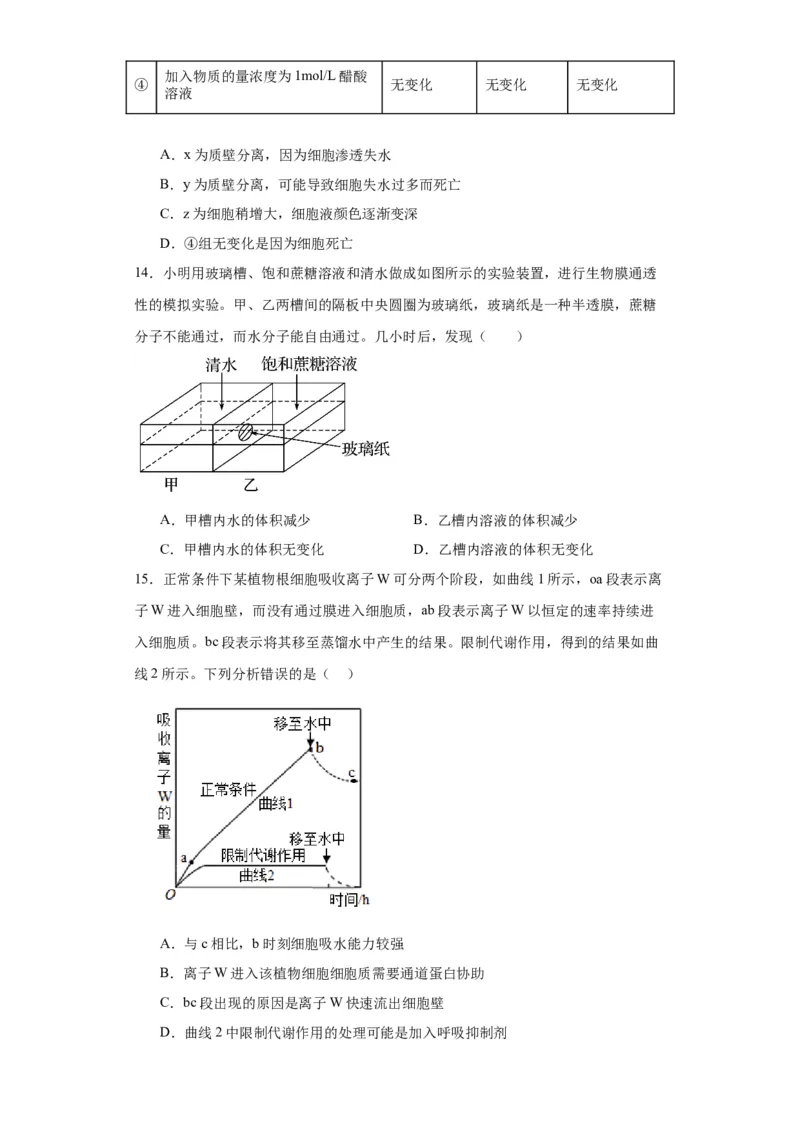 第二单元细胞的基本结构（测试卷）（原卷版)_2024年新高考资料_3.2024专项复习_备战2024年高考生物一轮复习重难点专项突破