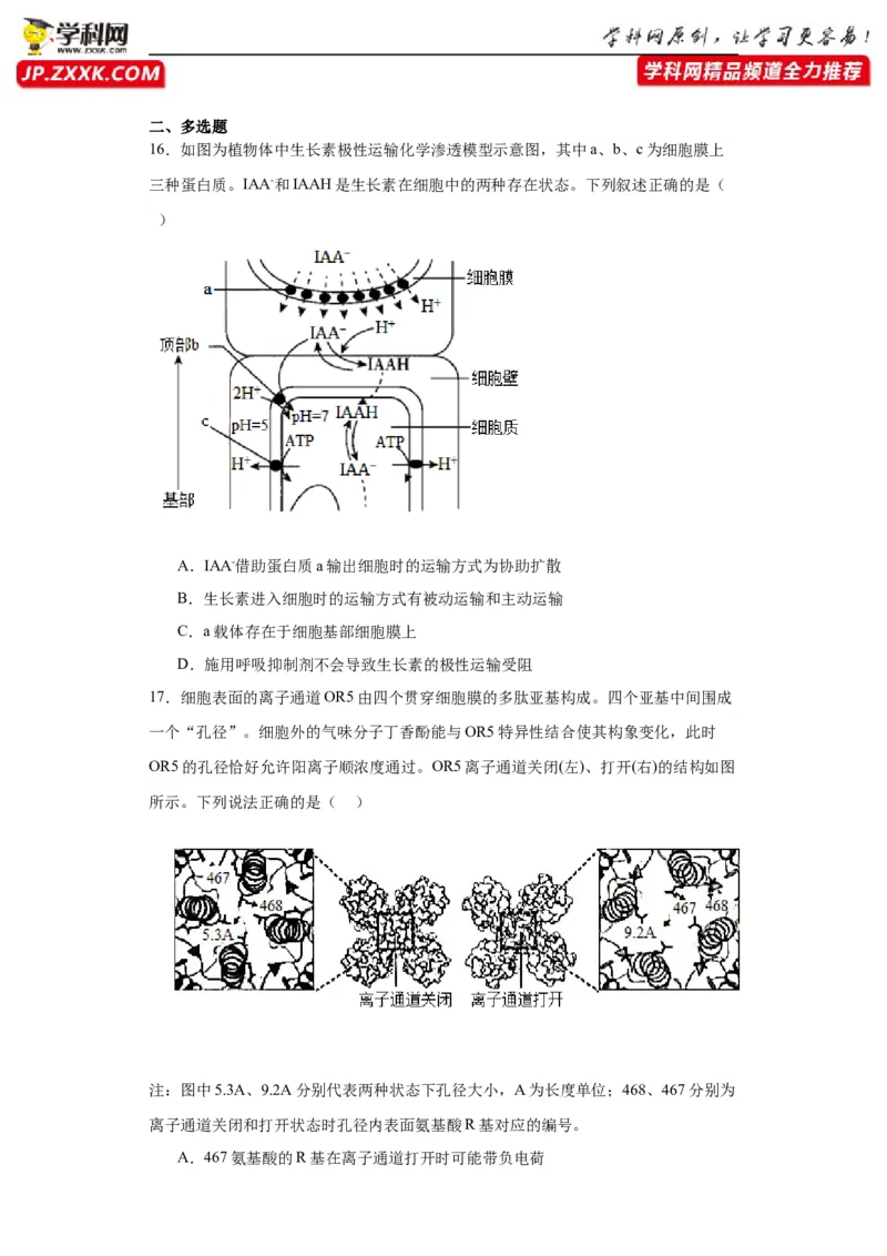 第二单元细胞的基本结构（测试卷）（原卷版)_2024年新高考资料_3.2024专项复习_备战2024年高考生物一轮复习重难点专项突破