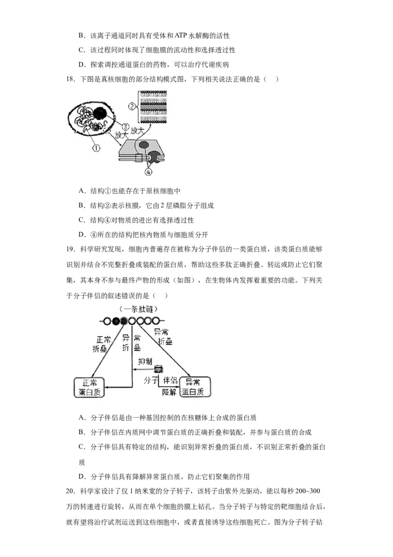 第二单元细胞的基本结构（测试卷）（原卷版)_2024年新高考资料_3.2024专项复习_备战2024年高考生物一轮复习重难点专项突破