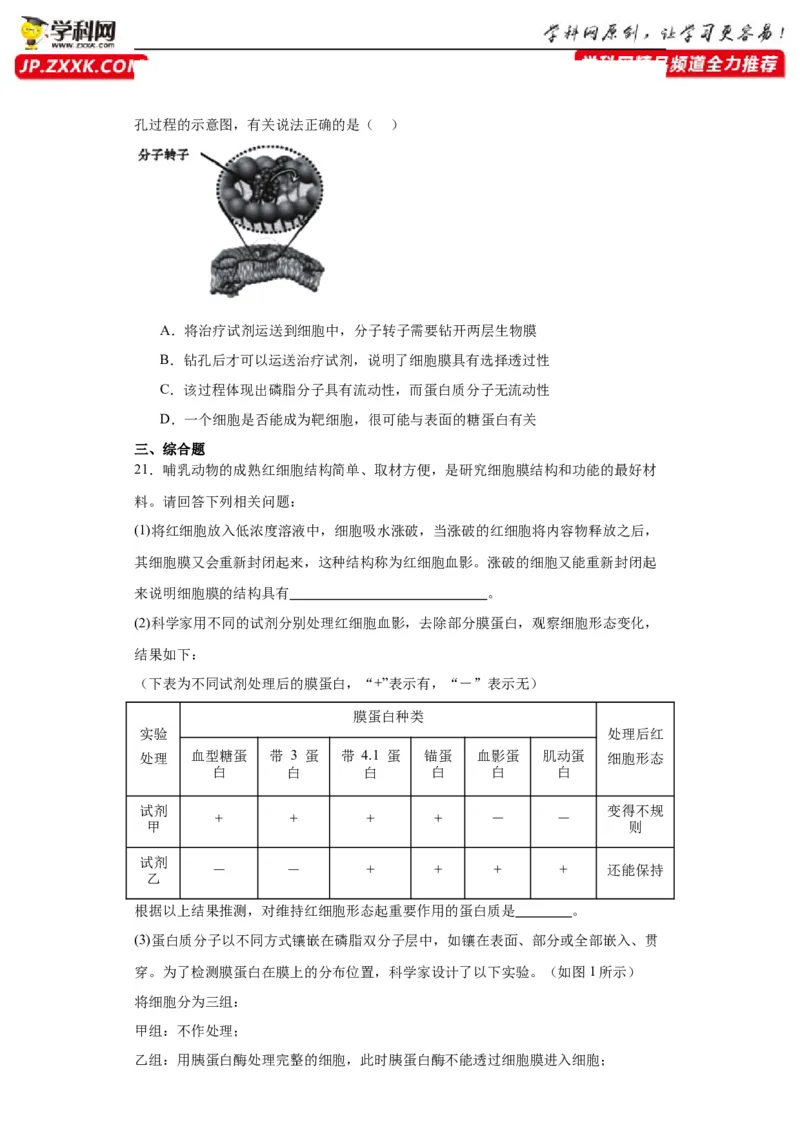 第二单元细胞的基本结构（测试卷）（原卷版)_2024年新高考资料_3.2024专项复习_备战2024年高考生物一轮复习重难点专项突破