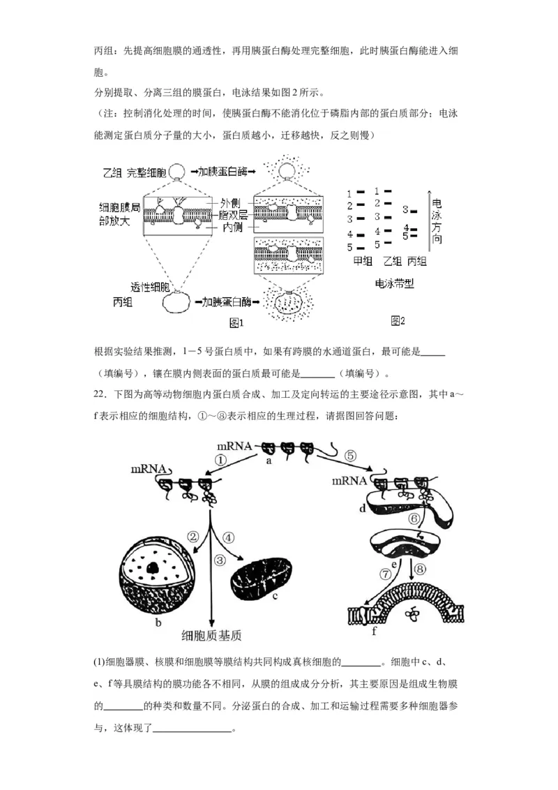 第二单元细胞的基本结构（测试卷）（原卷版)_2024年新高考资料_3.2024专项复习_备战2024年高考生物一轮复习重难点专项突破