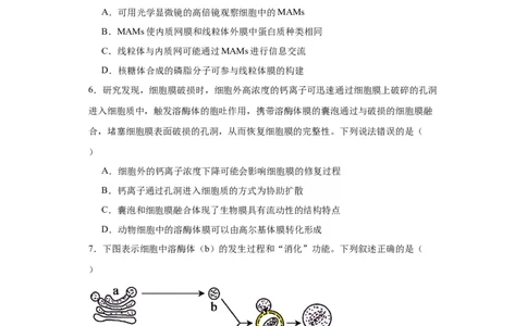 第二单元细胞的基本结构（测试卷）（原卷版)_2024年新高考资料_3.2024专项复习_备战2024年高考生物一轮复习重难点专项突破