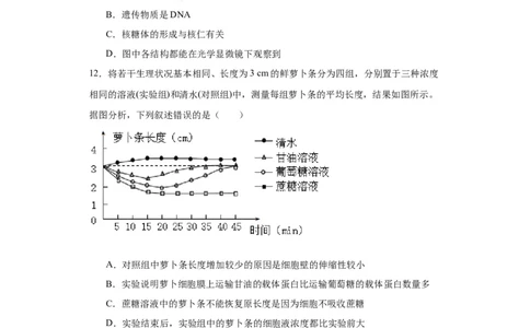 第二单元细胞的基本结构（测试卷）（原卷版)_2024年新高考资料_3.2024专项复习_备战2024年高考生物一轮复习重难点专项突破