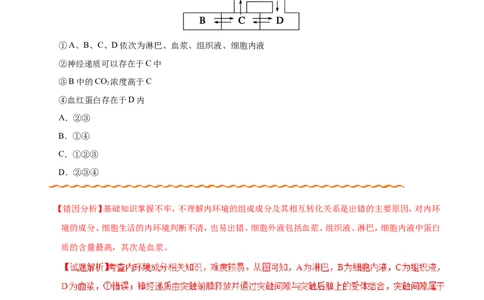 专题08人体的内环境与稳态-备战2019年高考生物之纠错笔记系列（解析版）_新高考复习资料_2022年新高考复习资料_2022年一轮复习最新版_1.2022年高考生物一轮复习全国通用版