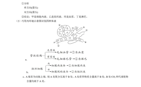 专题08人体的内环境与稳态-备战2019年高考生物之纠错笔记系列（解析版）_新高考复习资料_2022年新高考复习资料_2022年一轮复习最新版_1.2022年高考生物一轮复习全国通用版