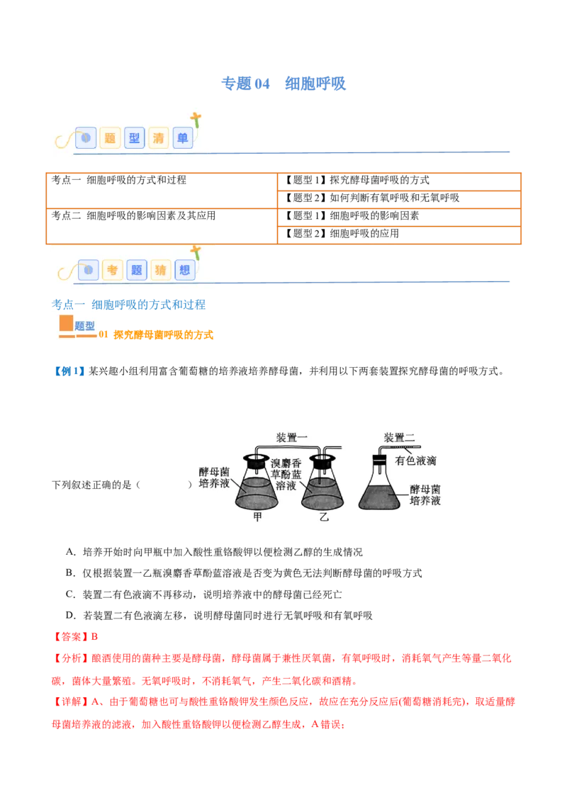 专题04细胞呼吸（4大题型）（解析版）_2025年新高考资料_一轮复习_备战2025年高考生物一轮复习题型全覆盖（新高考通用）
