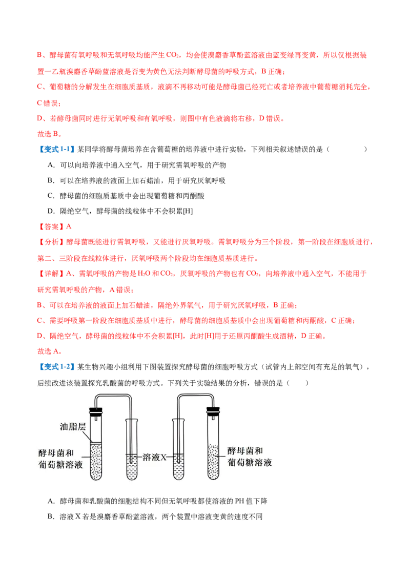 专题04细胞呼吸（4大题型）（解析版）_2025年新高考资料_一轮复习_备战2025年高考生物一轮复习题型全覆盖（新高考通用）