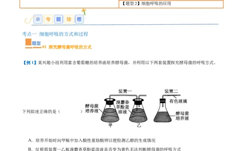 专题04细胞呼吸（4大题型）（解析版）_2025年新高考资料_一轮复习_备战2025年高考生物一轮复习题型全覆盖（新高考通用）
