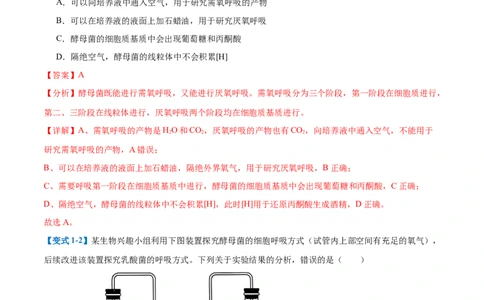 专题04细胞呼吸（4大题型）（解析版）_2025年新高考资料_一轮复习_备战2025年高考生物一轮复习题型全覆盖（新高考通用）