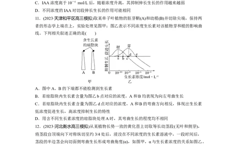 第8单元　课时练9　植物生长素及其生理作用_2024年新高考资料_1.2024一轮复习_2024年高考生物一轮复习讲义（新人教版）_学生版在此文件夹_一轮复习69练_第八单元　生命活动的调节
