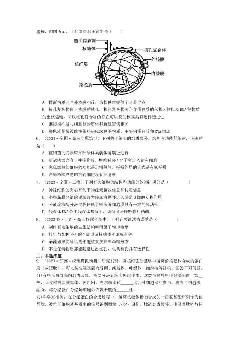 专题05细胞膜与细胞核（原卷版）_通用版（老高考）复习资料_2024年复习资料_完备战2024年高考生物一轮复习抢分特训（全国通用）