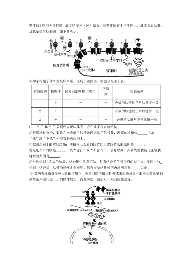 专题05细胞膜与细胞核（原卷版）_通用版（老高考）复习资料_2024年复习资料_完备战2024年高考生物一轮复习抢分特训（全国通用）