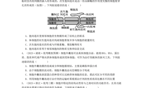 专题05细胞膜与细胞核（原卷版）_通用版（老高考）复习资料_2024年复习资料_完备战2024年高考生物一轮复习抢分特训（全国通用）