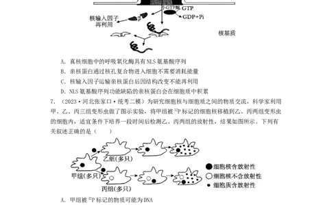专题05细胞膜与细胞核（原卷版）_通用版（老高考）复习资料_2024年复习资料_完备战2024年高考生物一轮复习抢分特训（全国通用）