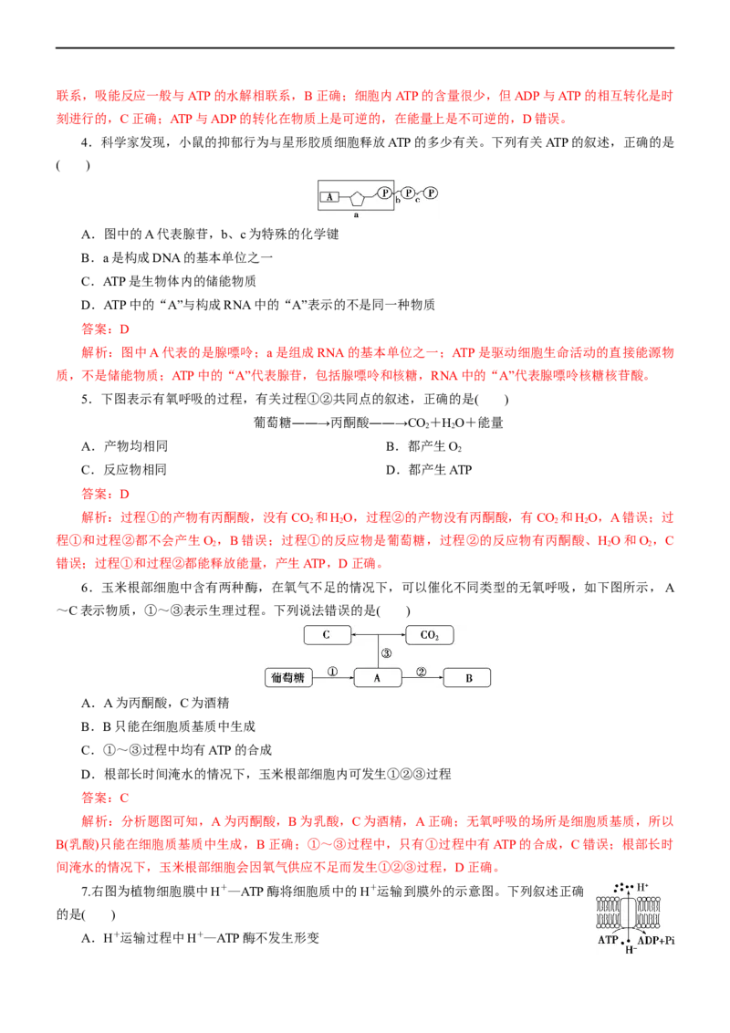专题04细胞的代谢（测试卷）-2023年高考生物二轮复习讲练测（全国通用）（解析版）_通用版（老高考）复习资料_2023年复习资料_二轮复习_2023年高考生物二轮复习讲练测（全国通用）