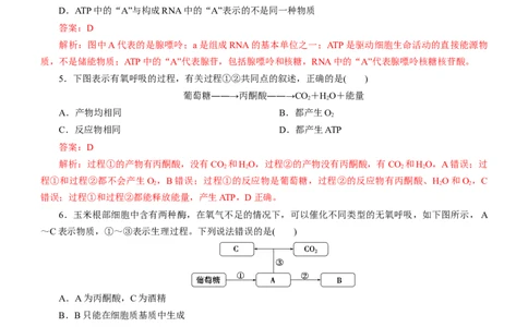 专题04细胞的代谢（测试卷）-2023年高考生物二轮复习讲练测（全国通用）（解析版）_通用版（老高考）复习资料_2023年复习资料_二轮复习_2023年高考生物二轮复习讲练测（全国通用）