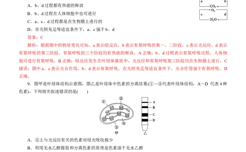 专题04细胞的代谢（测试卷）-2023年高考生物二轮复习讲练测（全国通用）（解析版）_通用版（老高考）复习资料_2023年复习资料_二轮复习_2023年高考生物二轮复习讲练测（全国通用）
