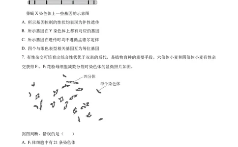 2024年高考生物试卷（北京）（空白卷）_北京市高考历年真题_生物
