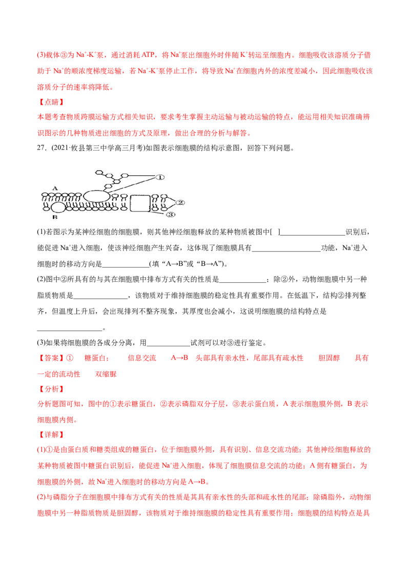 专题02物质进出细胞、酶和ATP-2021年高考生物真题与模拟题分类训练（教师版含解析）_新高考复习资料_2023年新高考复习资料_一轮复习_2023年新高考大一轮复习讲义