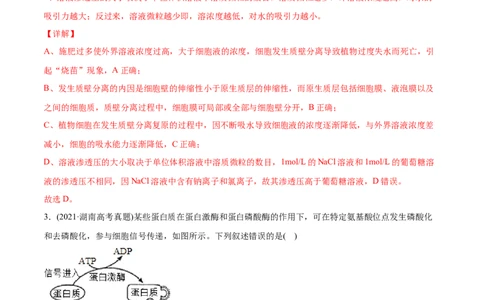 专题02物质进出细胞、酶和ATP-2021年高考生物真题与模拟题分类训练（教师版含解析）_新高考复习资料_2023年新高考复习资料_一轮复习_2023年新高考大一轮复习讲义
