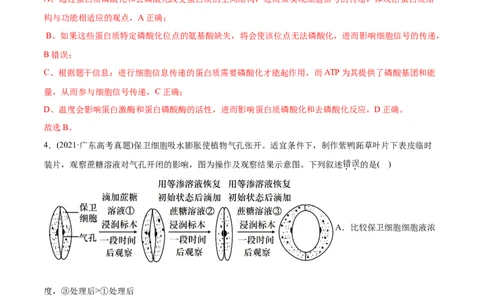 专题02物质进出细胞、酶和ATP-2021年高考生物真题与模拟题分类训练（教师版含解析）_新高考复习资料_2023年新高考复习资料_一轮复习_2023年新高考大一轮复习讲义