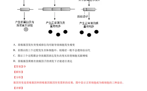 专题06细胞的分化、衰老、凋亡及癌变-2020年高考真题和模拟题生物分项汇编（教师版含解析）_新高考复习资料_2022年新高考复习资料_2022年一轮复习最新版