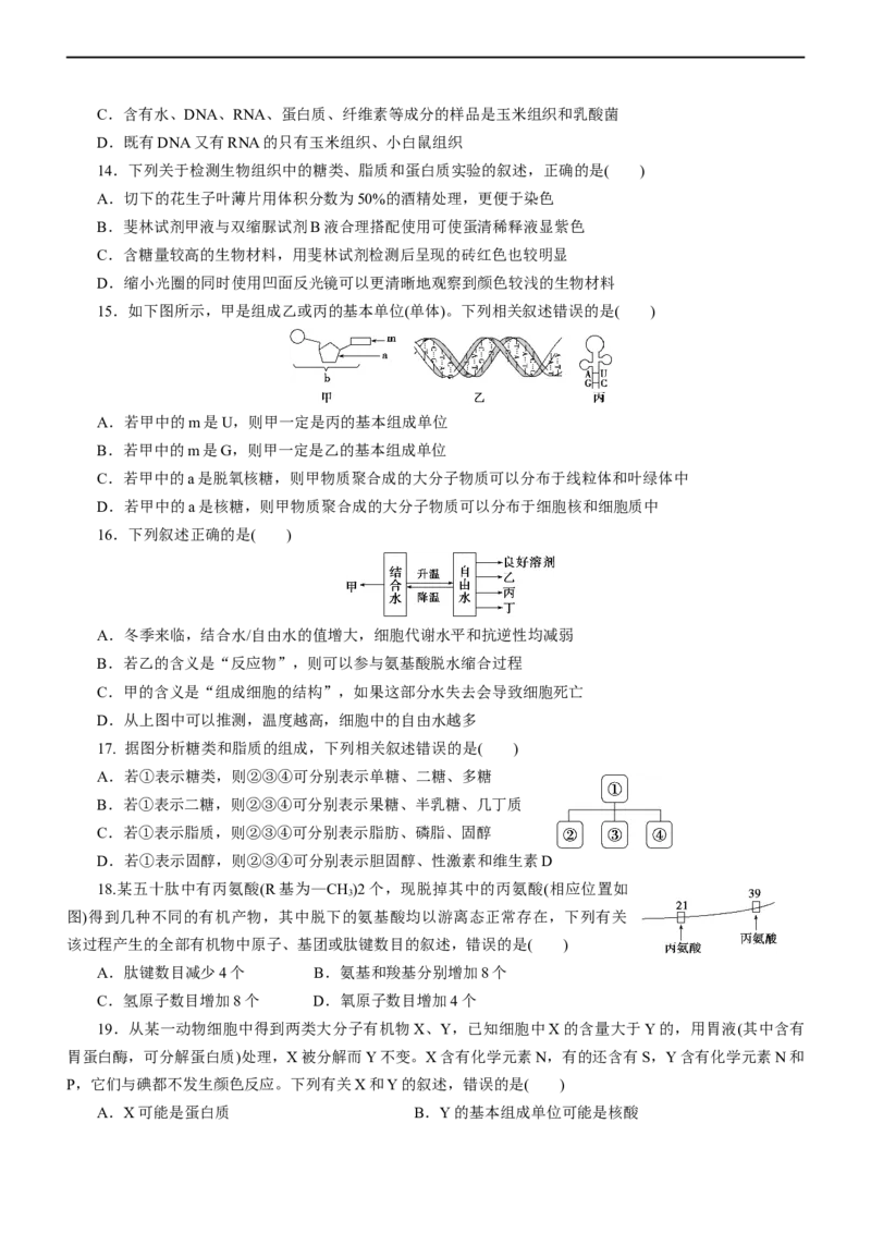 专题01细胞的分子组成（测试卷）-2023年高考生物二轮复习讲练测（原卷版）_通用版（老高考）复习资料_2023年复习资料_二轮复习_2023年高考生物二轮复习讲练测（全国通用）