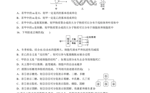 专题01细胞的分子组成（测试卷）-2023年高考生物二轮复习讲练测（原卷版）_通用版（老高考）复习资料_2023年复习资料_二轮复习_2023年高考生物二轮复习讲练测（全国通用）