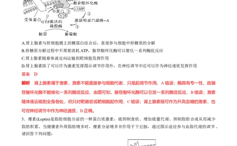 考点通关卷29动物生命活动调节的综合（解析版）_2024年新高考资料_1.2024一轮复习_2024年高考生物一轮复习考点通关卷（新高考通用）