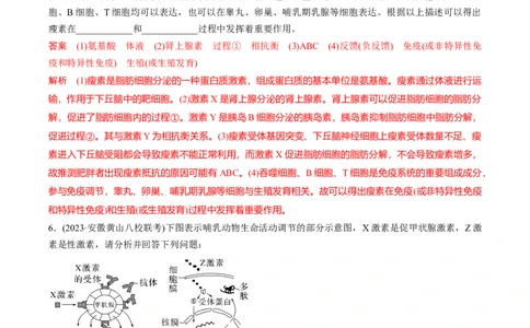 考点通关卷29动物生命活动调节的综合（解析版）_2024年新高考资料_1.2024一轮复习_2024年高考生物一轮复习考点通关卷（新高考通用）