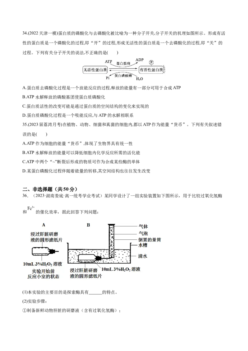 第三单元细胞的能量供应和利用（测试）（原卷版）_2024年新高考资料_1.2024一轮复习_2024年高考生物一轮复习讲练测（新教材新高考）