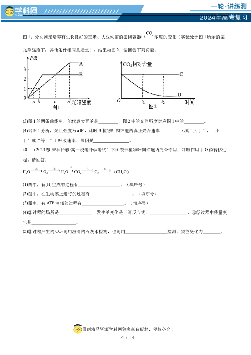 第三单元细胞的能量供应和利用（测试）（原卷版）_2024年新高考资料_1.2024一轮复习_2024年高考生物一轮复习讲练测（新教材新高考）