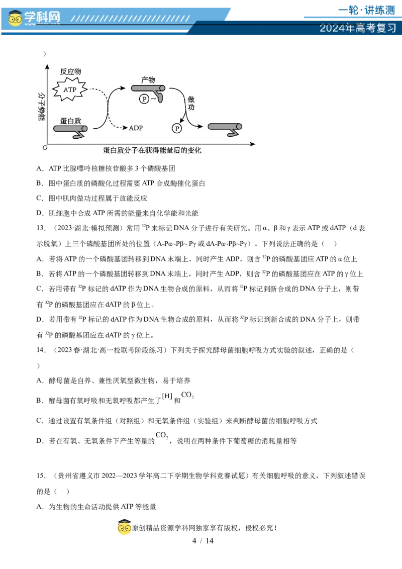 第三单元细胞的能量供应和利用（测试）（原卷版）_2024年新高考资料_1.2024一轮复习_2024年高考生物一轮复习讲练测（新教材新高考）