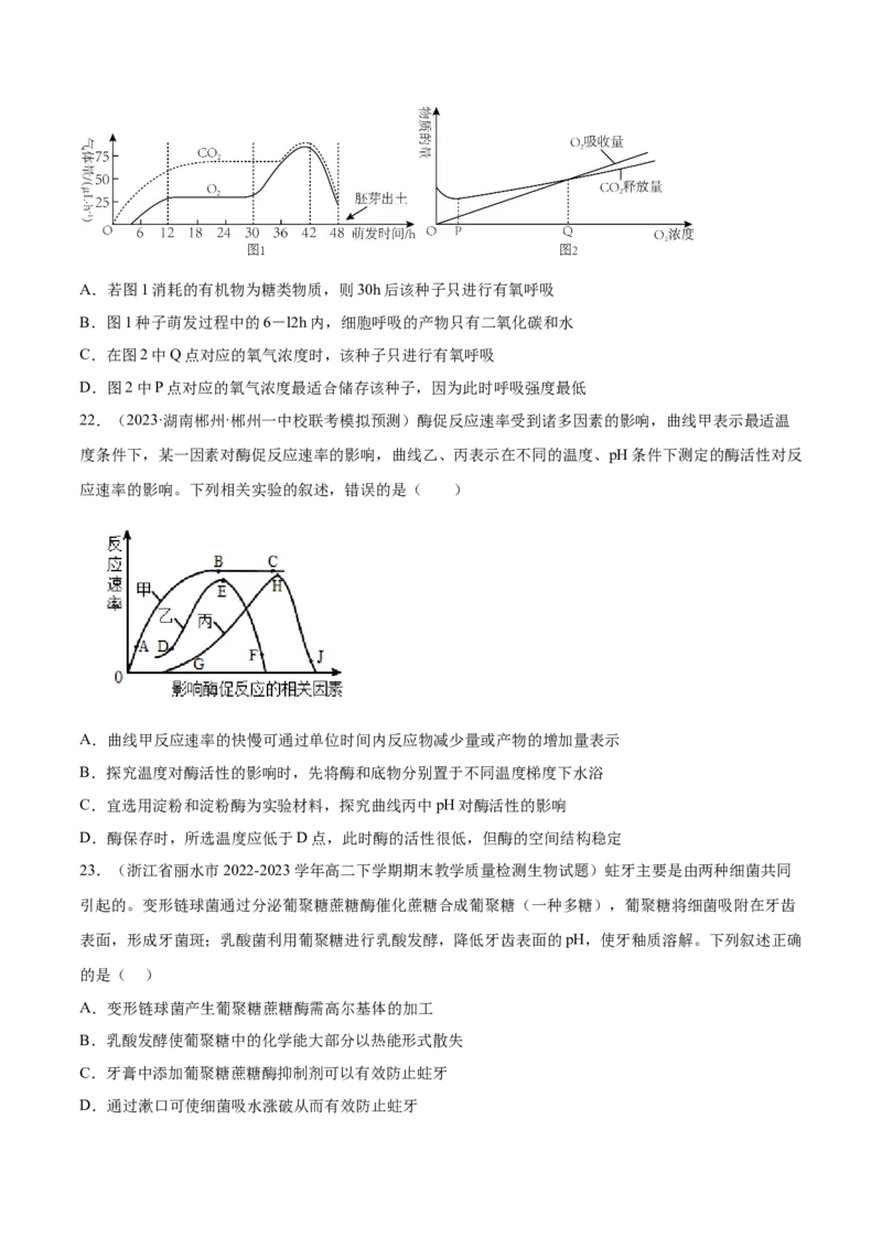 第三单元细胞的能量供应和利用（测试）（原卷版）_2024年新高考资料_1.2024一轮复习_2024年高考生物一轮复习讲练测（新教材新高考）
