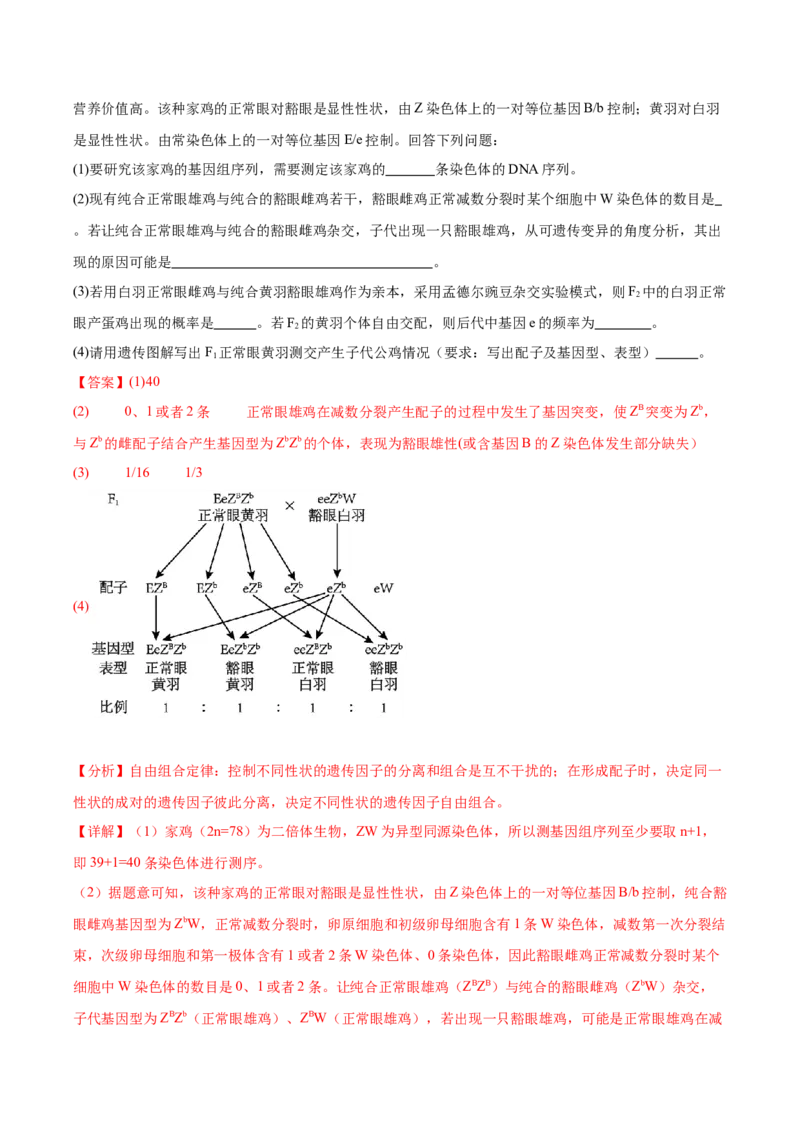 考点通关卷13减数分裂和受精作用（解析版）_2024年新高考资料_1.2024一轮复习_2024年高考生物一轮复习考点通关卷（新高考通用）