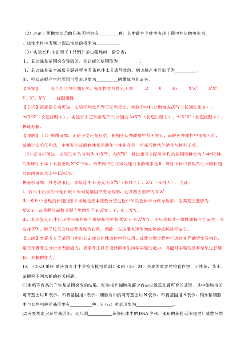考点通关卷13减数分裂和受精作用（解析版）_2024年新高考资料_1.2024一轮复习_2024年高考生物一轮复习考点通关卷（新高考通用）