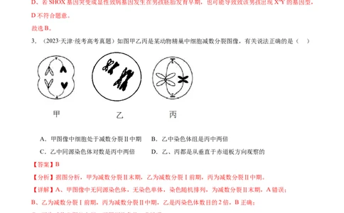 考点通关卷13减数分裂和受精作用（解析版）_2024年新高考资料_1.2024一轮复习_2024年高考生物一轮复习考点通关卷（新高考通用）