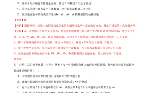 考点通关卷13减数分裂和受精作用（解析版）_2024年新高考资料_1.2024一轮复习_2024年高考生物一轮复习考点通关卷（新高考通用）